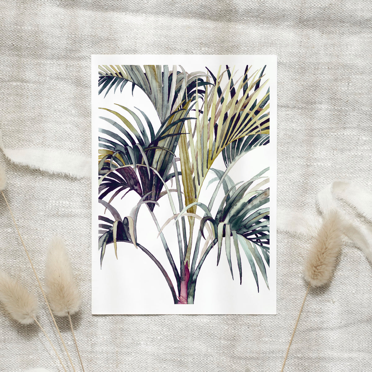 Postcard - Wild Palm