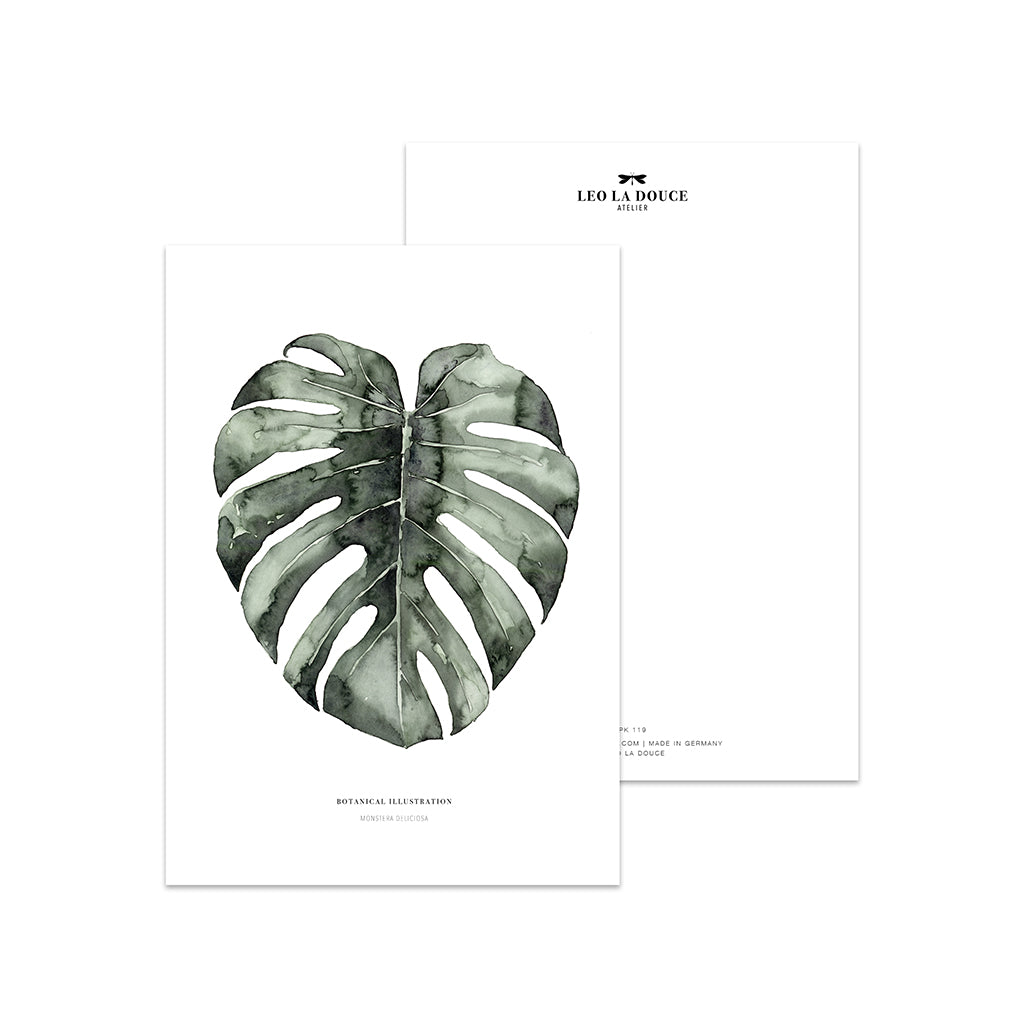 Postkarten Set · Botanical Illustrations