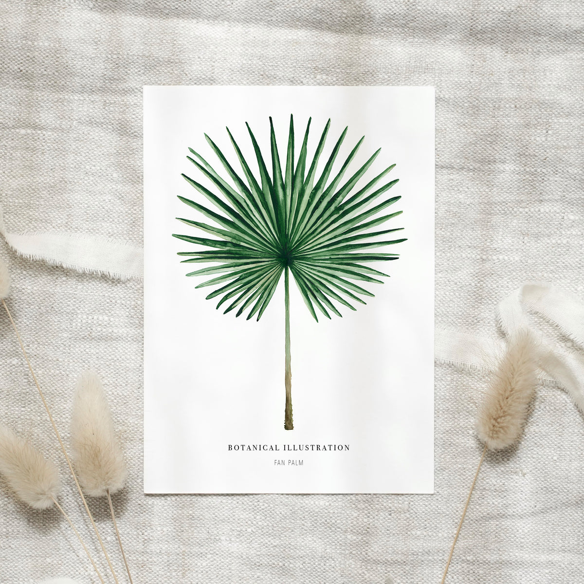 Postkarte - Fan Palm