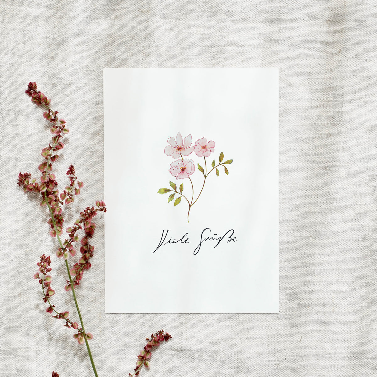 Postcard - Best wishes | Rose