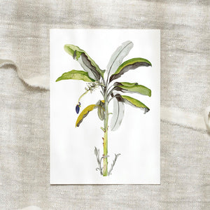 Postkarte -  Banana Tree