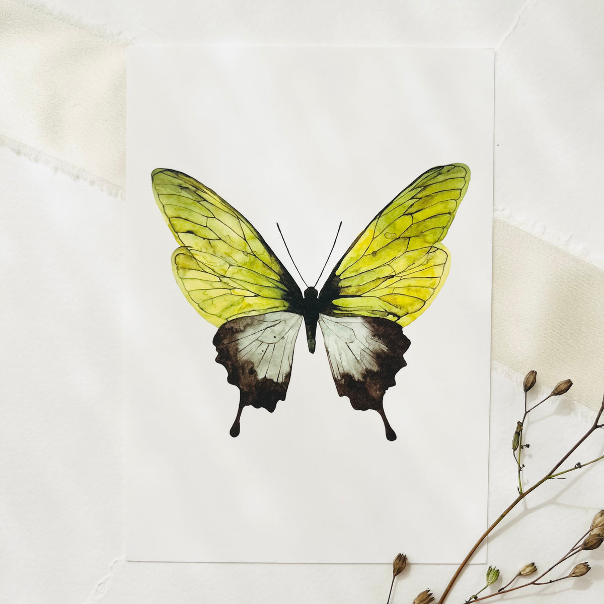 Postkarte -  Green Butterfly