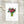 Postkarte · Pink Flowers | Green Vase