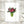 Postkarte · Pink Flowers | Green Vase