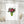 Postkarte · Pink Flowers | Green Vase