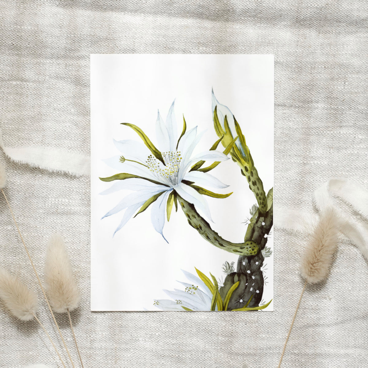 Postkarte - White Cactus Flower