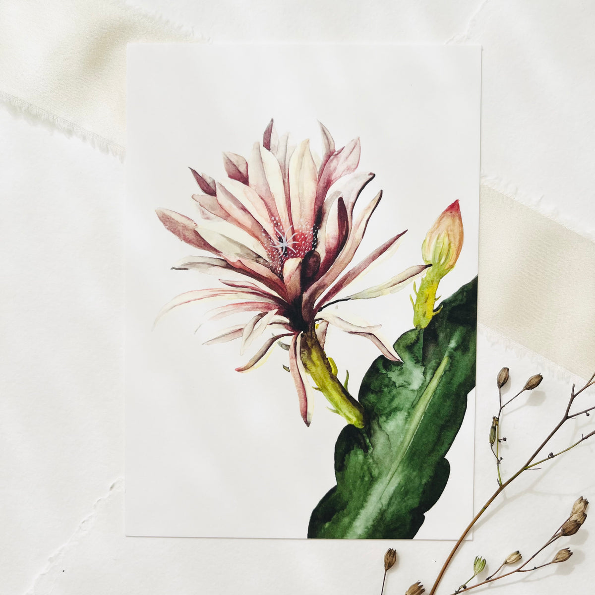 Postkarte - Red cactus Flower