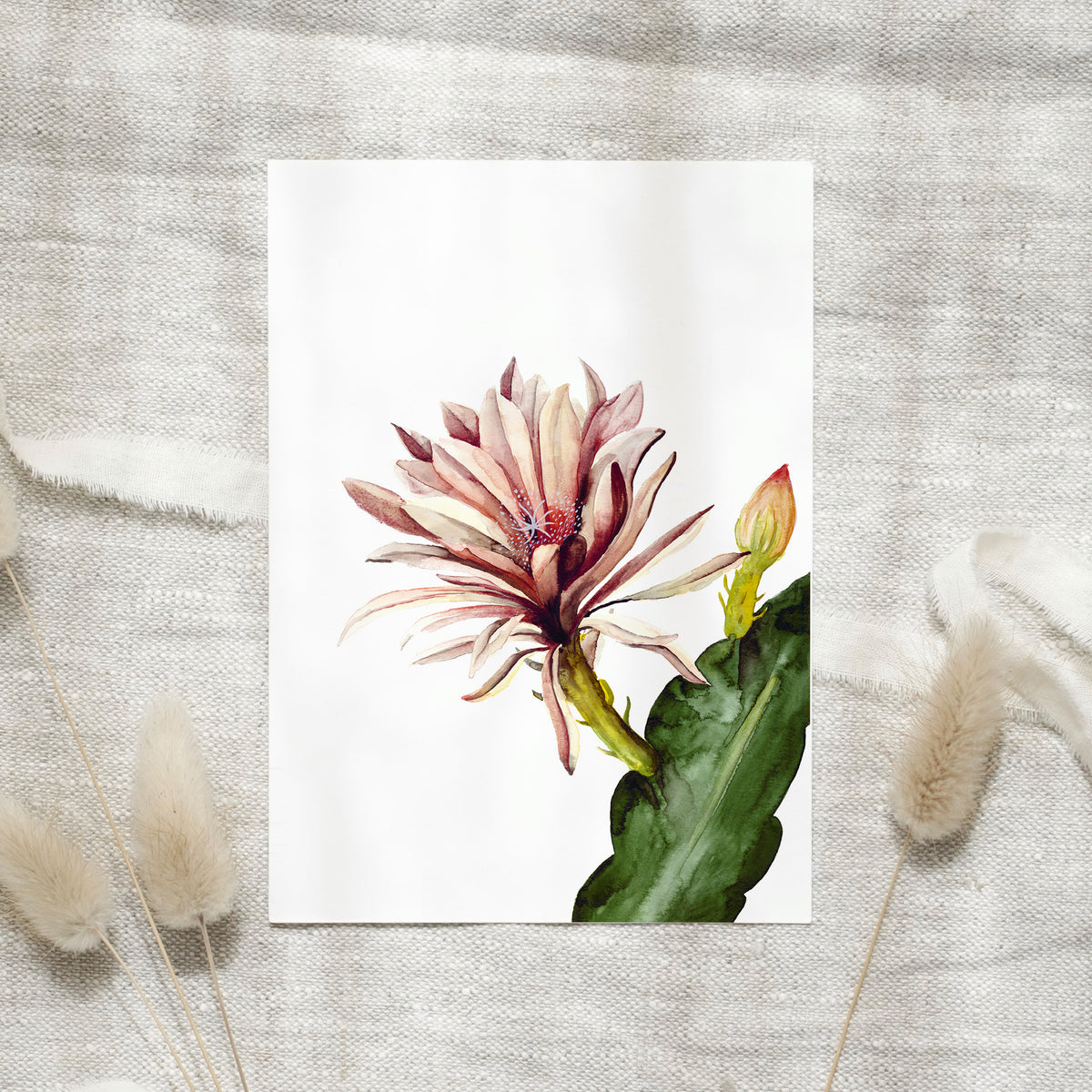 Postcard - Red cactus Flower