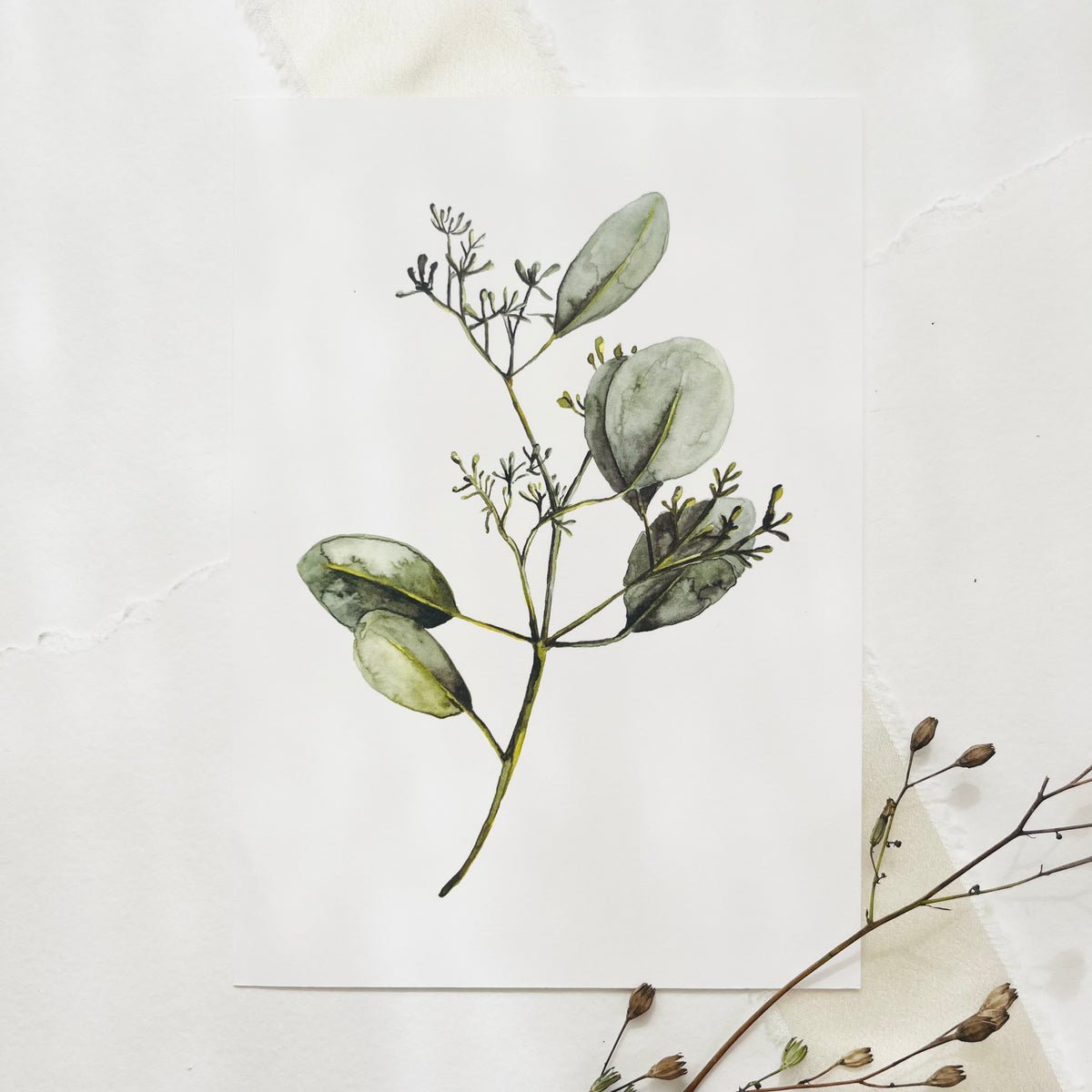 Postkarte -  Eucalyptus with blossoms