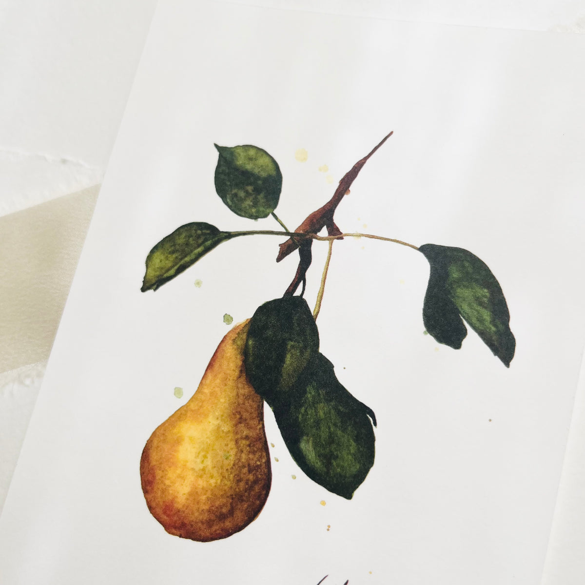 Postkarte -  Pear