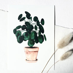 Postkarte -  Pilea