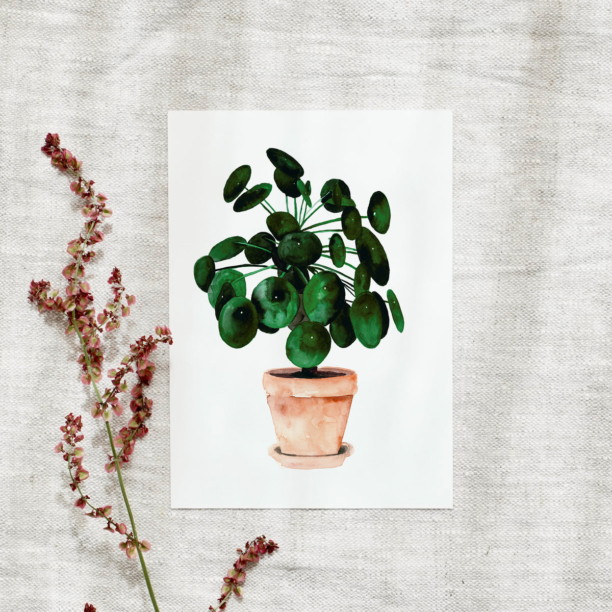 Postkarte -  Pilea