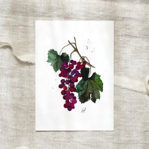 Postkarte · Grapes