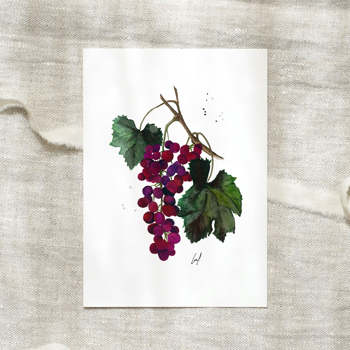 Postkarte · Grapes