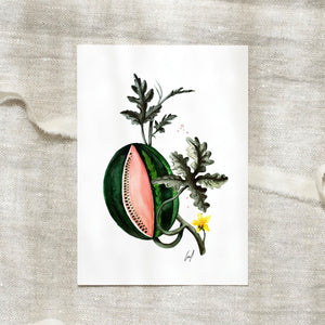 Postkarte · Watermelon