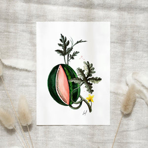 Postkarte · Watermelon