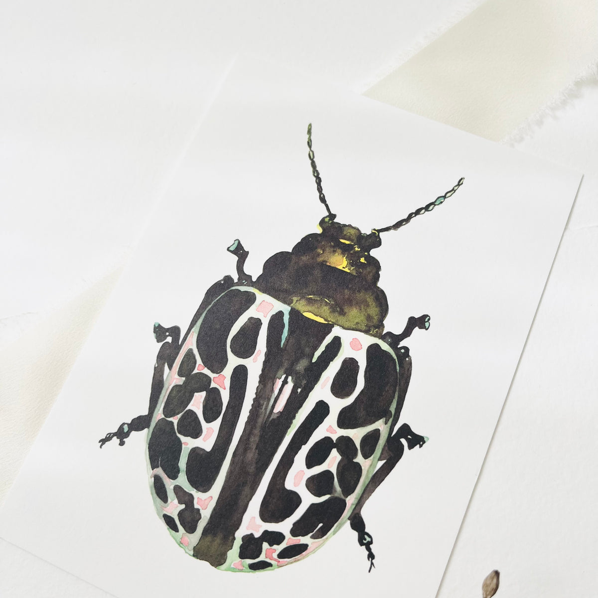 Postcard Green Beetle