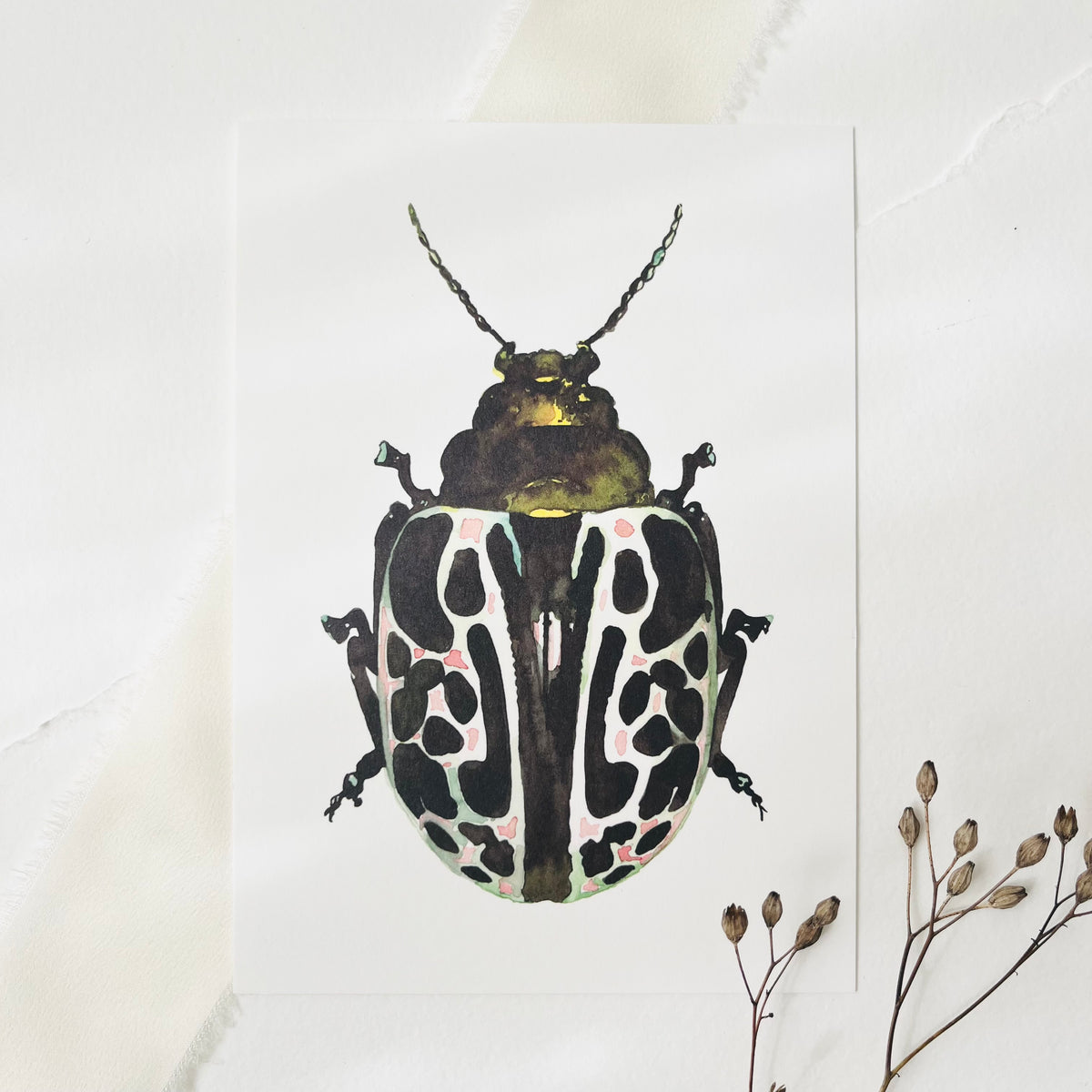 Postcard Green Beetle