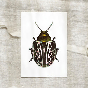 Postcard Green Beetle