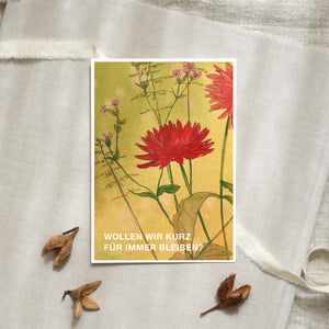 Postkarte · Wildflowers | Kurz für immer bleiben
