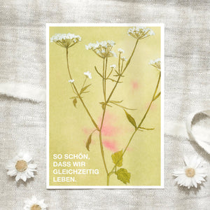 Postkarte · Wildflowers | So schön, dass wir gleichzeitig leben