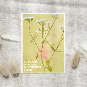 Postkarte · Wildflowers | So schön, dass wir gleichzeitig leben
