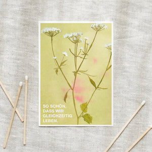 Postkarte · Wildflowers | So schön, dass wir gleichzeitig leben