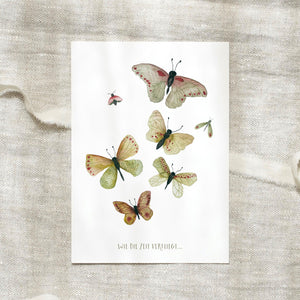 Postcard · Butterflies