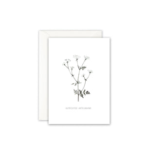 Trauerkarte · AUFRICHTIGE ANTEILNAHME Grußkarte Leo la Douce 