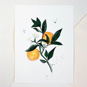 Original-Illustration | Orange Kunstdruck Leo la Douce 