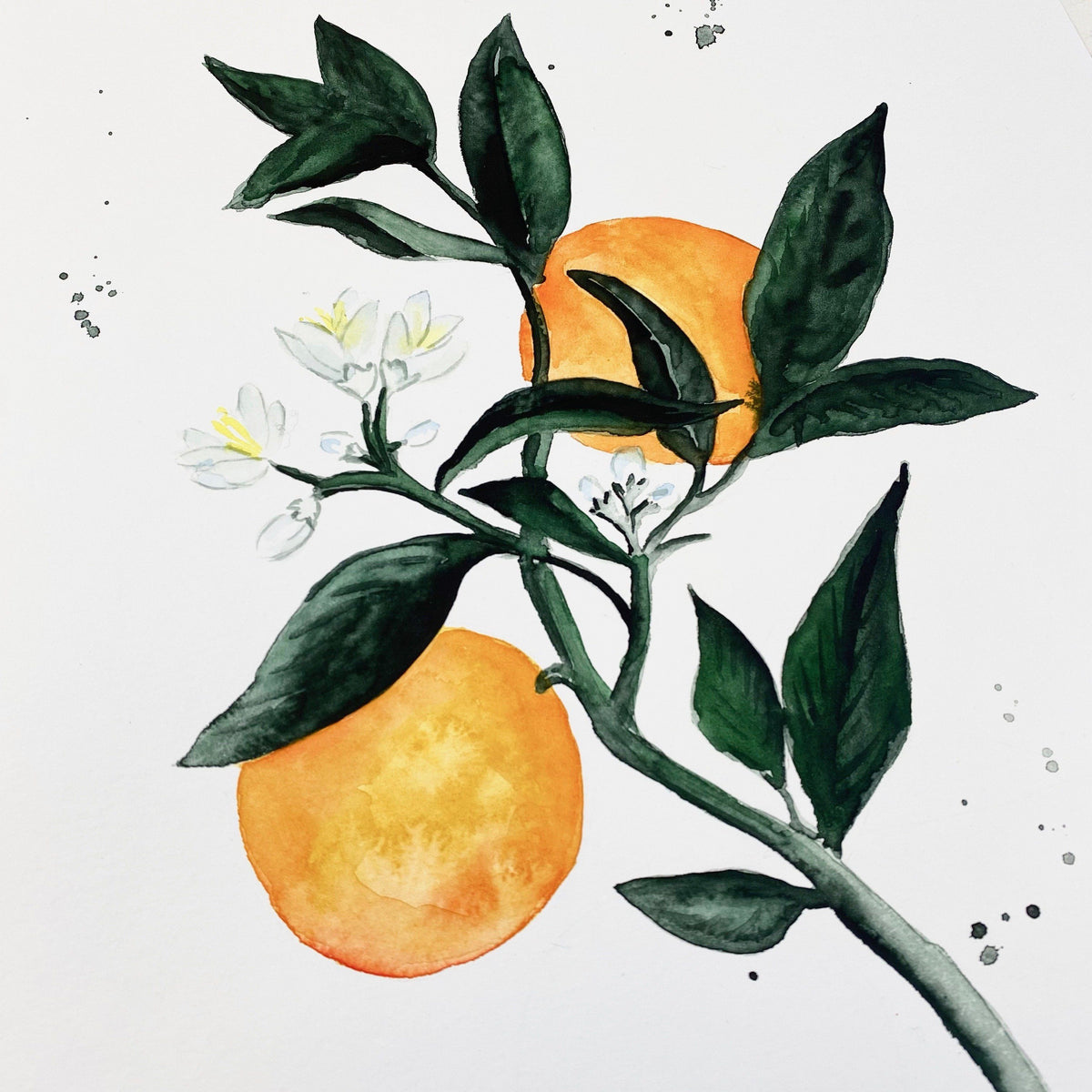 Original-Illustration | Orange Kunstdruck Leo la Douce 