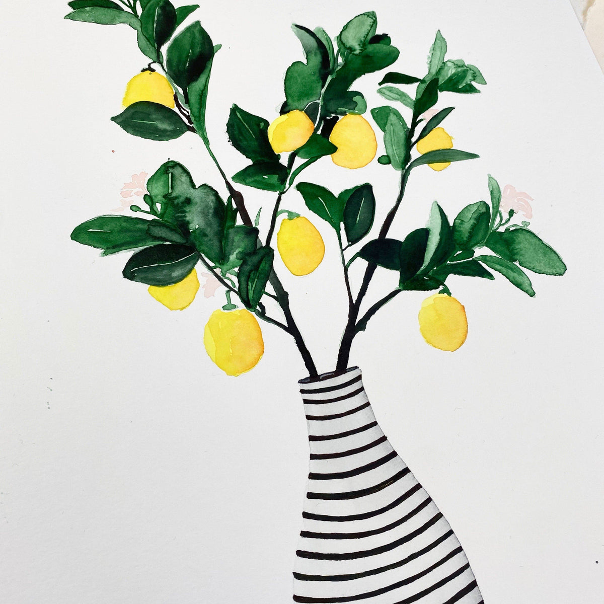Original-Illustration | Lemonvase Kunstdruck Leo la Douce 
