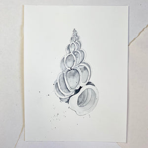 Original-Illustration |Shell Kunstdruck Leo la Douce 