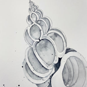 Original-Illustration |Shell Kunstdruck Leo la Douce 