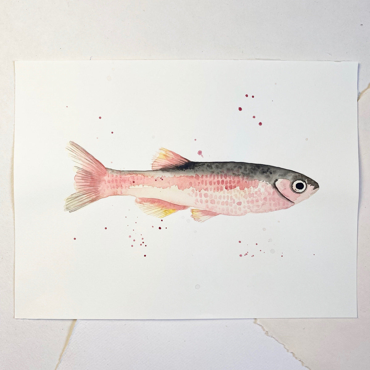 Original-Illustration |Rose Fish Kunstdruck Leo la Douce 