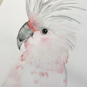 Original-Illustration | Kakadu Kunstdruck Leo la Douce 