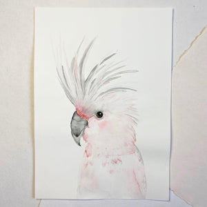 Original-Illustration | Kakadu Kunstdruck Leo la Douce 