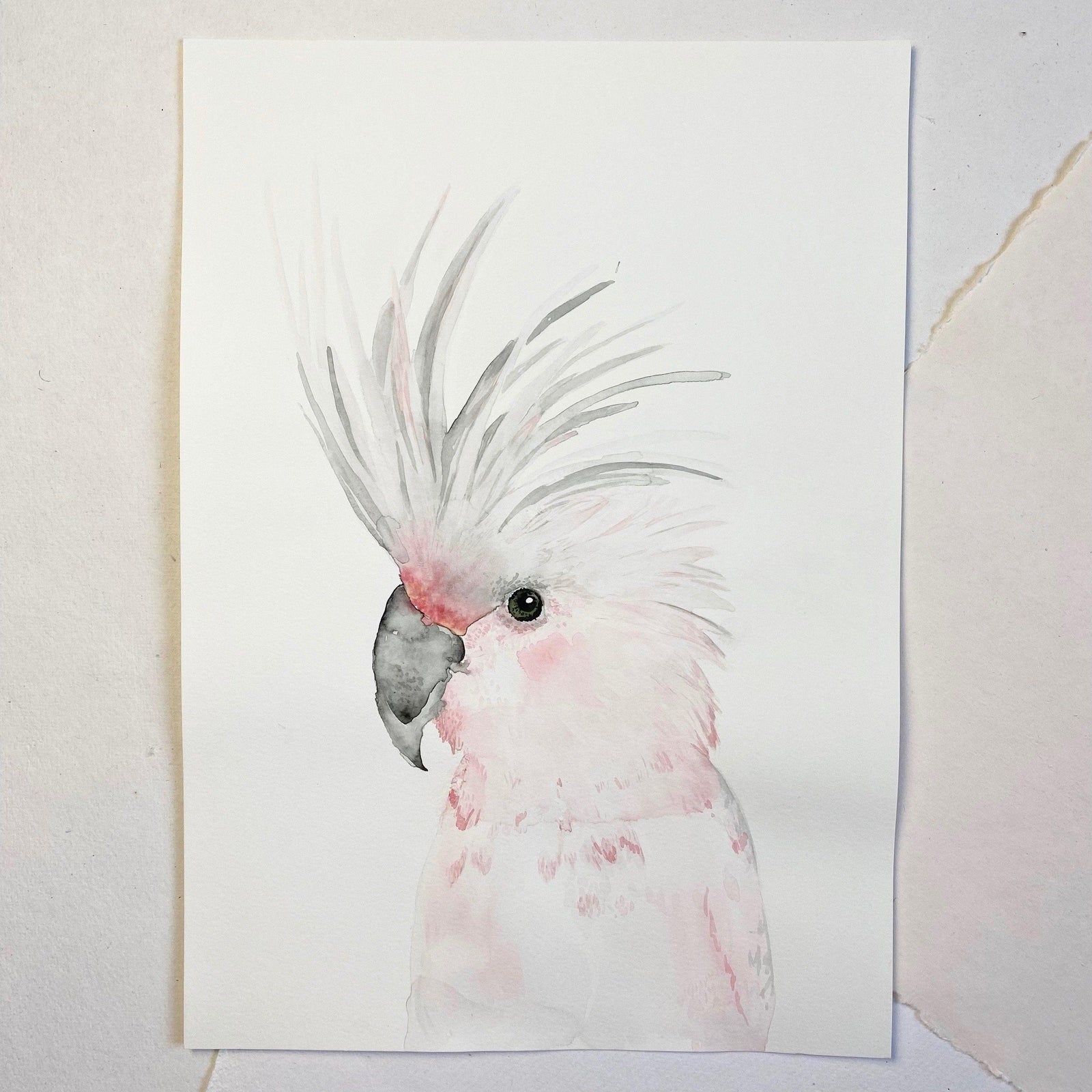 Original-Illustration | Kakadu Kunstdruck Leo la Douce 