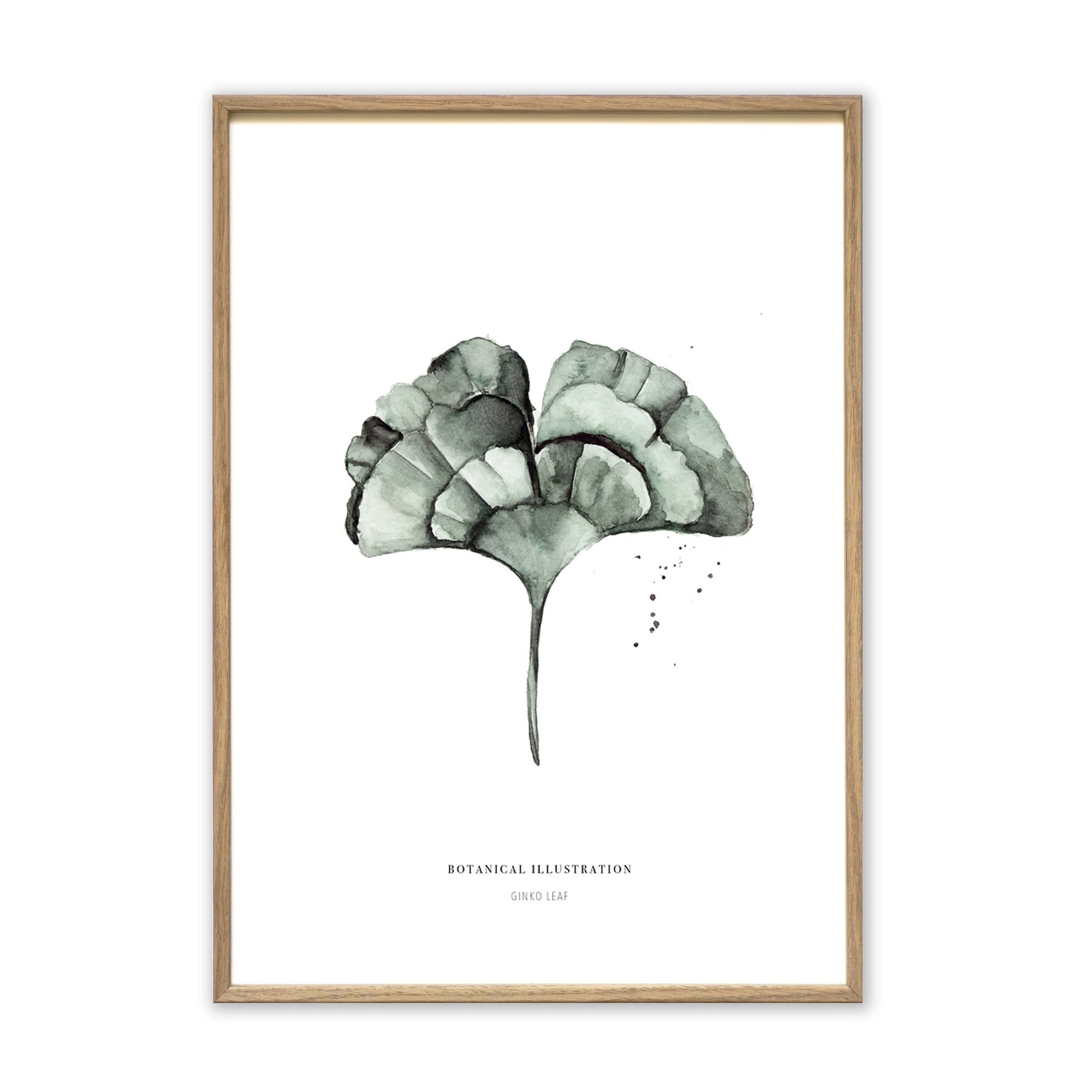 Kunstdruck - Ginkgo Leaf Kunstdruck Leo la Douce 