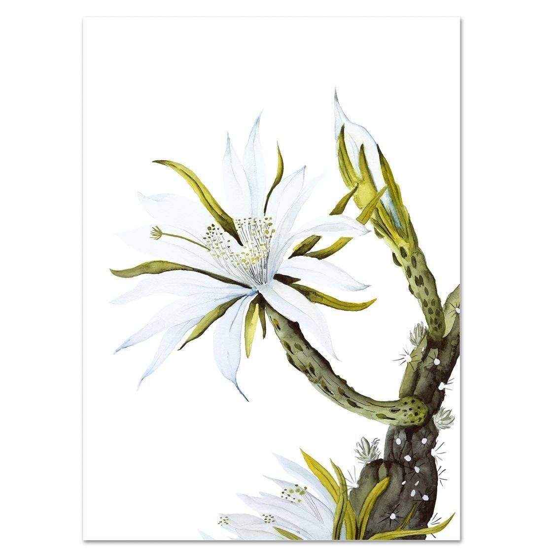 Kunstdruck - WHITE CACTUS FLOWER Kunstdruck Leo la Douce