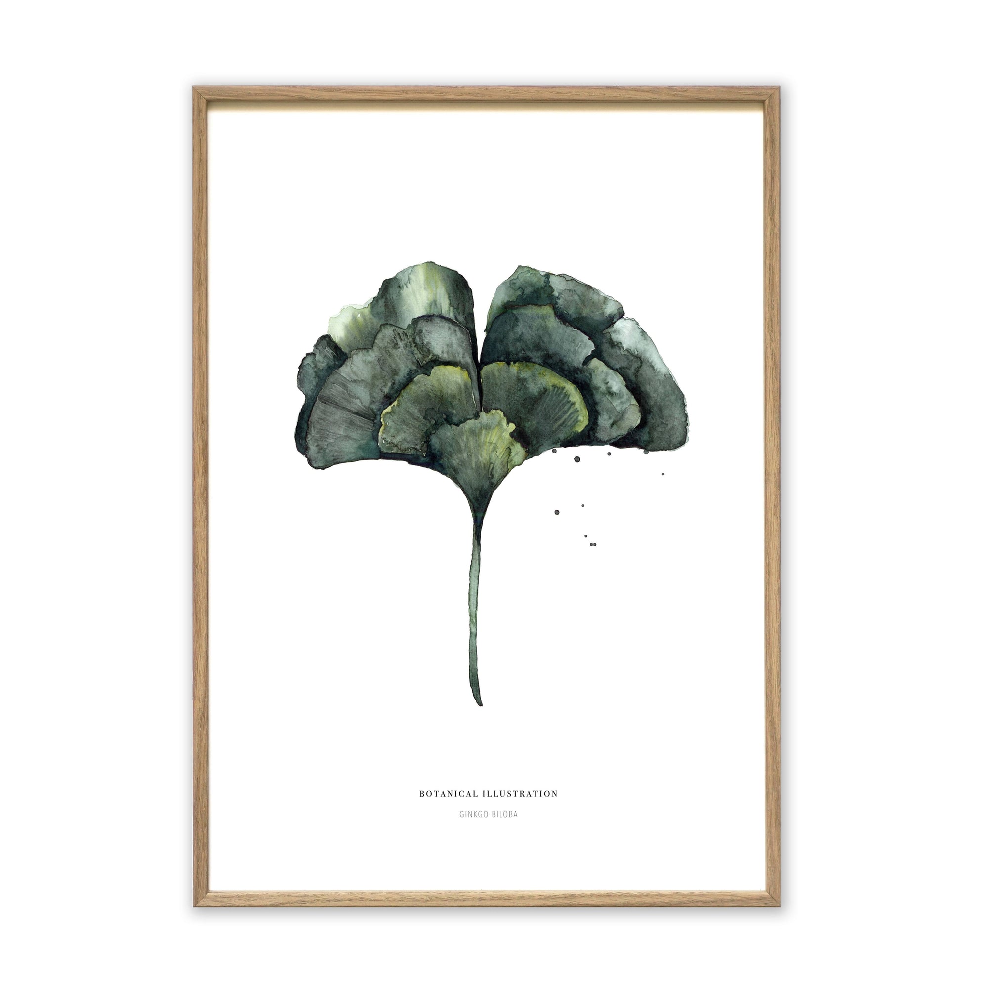 Kunstdruck - Gingko Green Kunstdruck Leo la Douce 