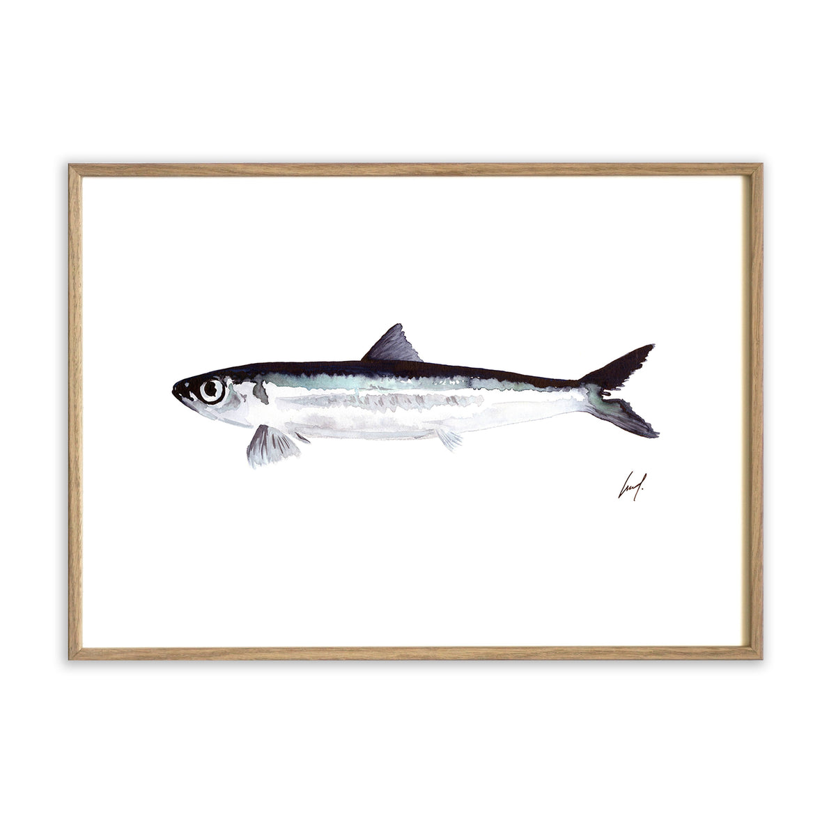 Kunstdruck - Fish Kunstdruck Atelier Leo la Douce 