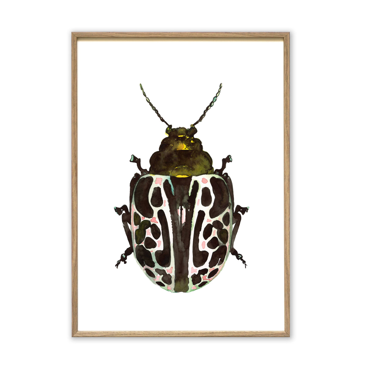 Kunstdruck - Green Beetle Kunstdruck Atelier Leo la Douce 