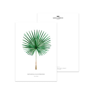 Postkarte - FAN PALM Postkarte Leo la Douce 