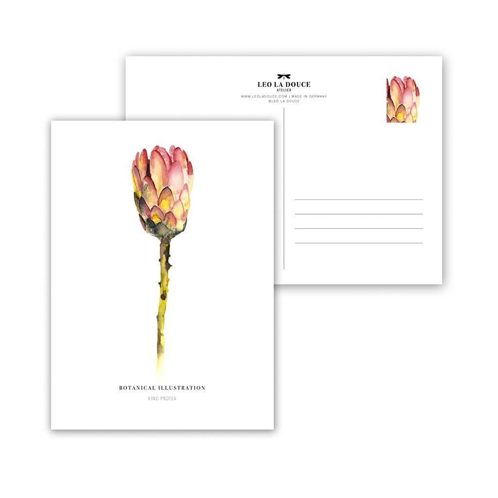Postkarte - RED KING PROTEA Postkarte Leo la Douce 