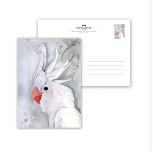 Postkarte - WHITE KAKADU Postkarte Leo la Douce 