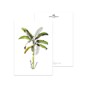 Postkarte - BANANA TREE Postkarte Leo la Douce 