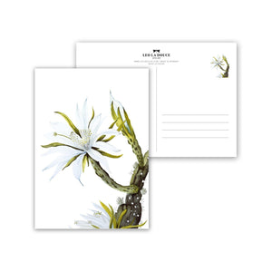 Postkarte - WHITE CACTUS FLOWER Postkarte Leo la Douce 