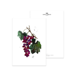 Postkarte · GRAPES Postkarte Leo la Douce 