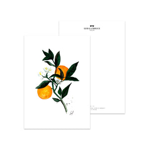 Postkarte · ORANGE Postkarte Leo la Douce 